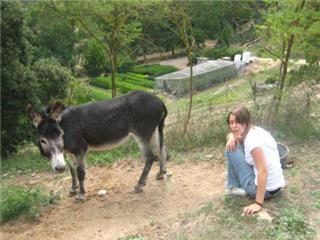 Festa Castellter&ccedil;ol
